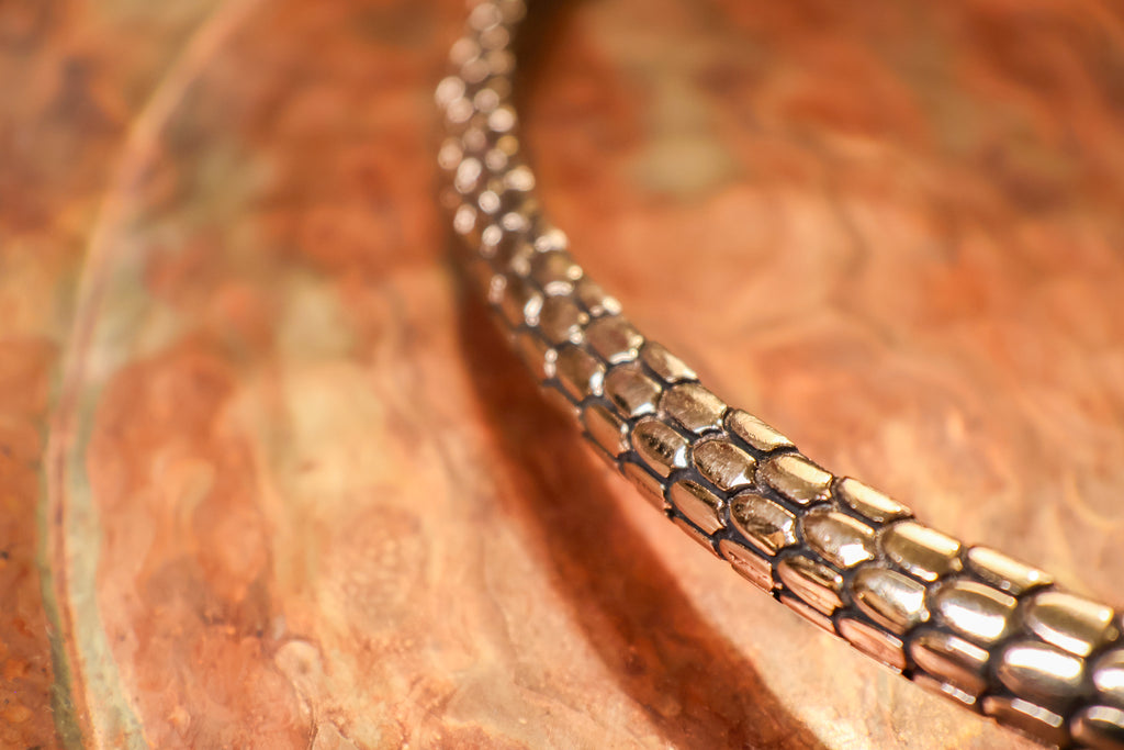 Black Eyed Snake Chocker