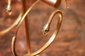 Green Eyed Snake Earrings