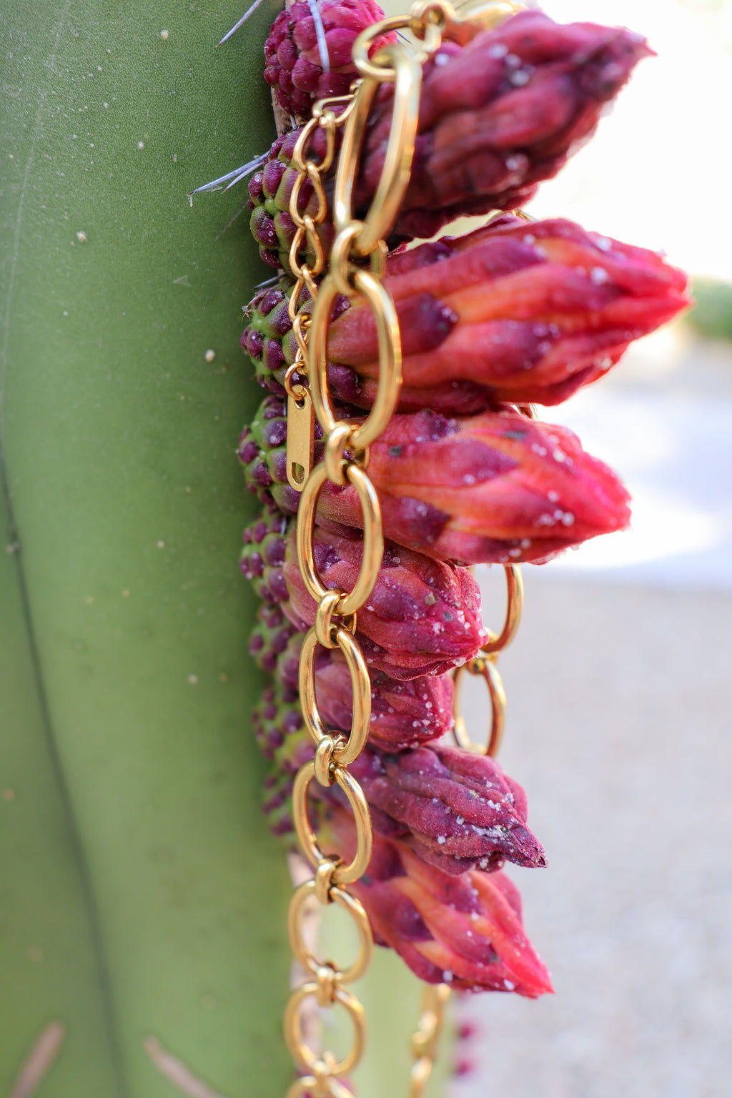 Belle Link Lariat Choker